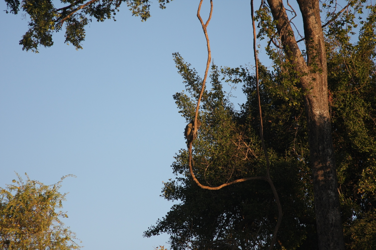 [33652] 2016_07_04_11_16_42_Africa_Canon_EOS_40D_IMG__05797.jpg