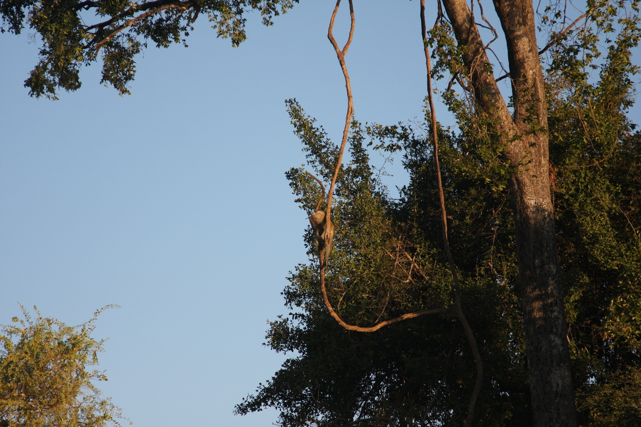 [33661] 2016_07_04_11_16_43_Africa_Canon_EOS_40D_IMG__05800.jpg