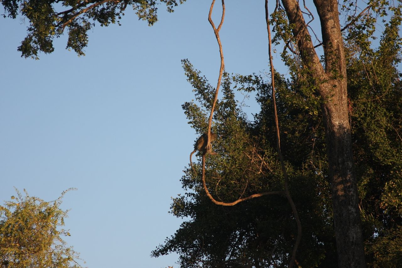 [33662] 2016_07_04_11_16_43_Africa_Canon_EOS_40D_IMG__13245.jpg