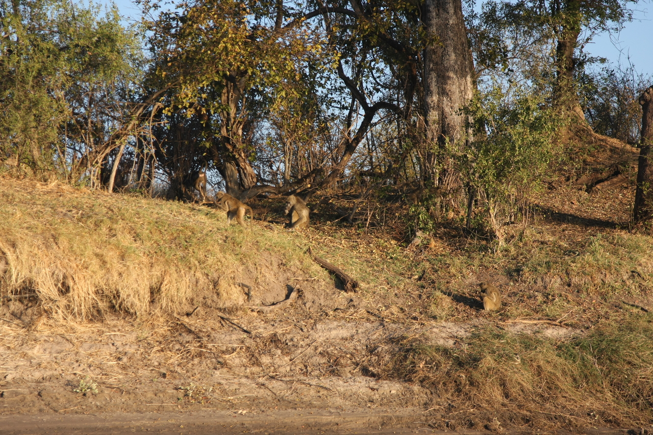 [33673] 2016_07_04_11_16_58_Africa_Canon_EOS_40D_IMG__00171.jpg