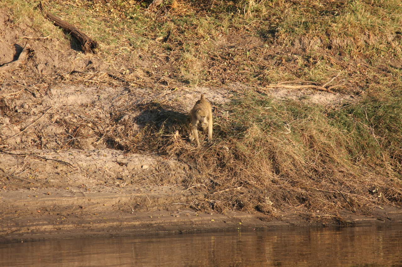 [33710] 2016_07_04_11_17_40_Africa_Canon_EOS_40D_IMG__05818.jpg