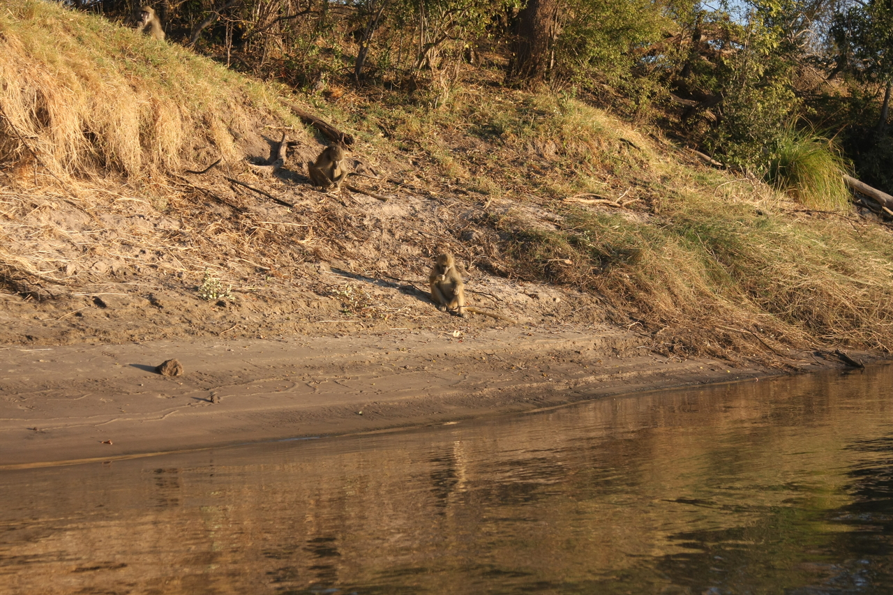 [33766] 2016_07_04_11_19_33_Africa_Canon_EOS_40D_IMG__05838.jpg