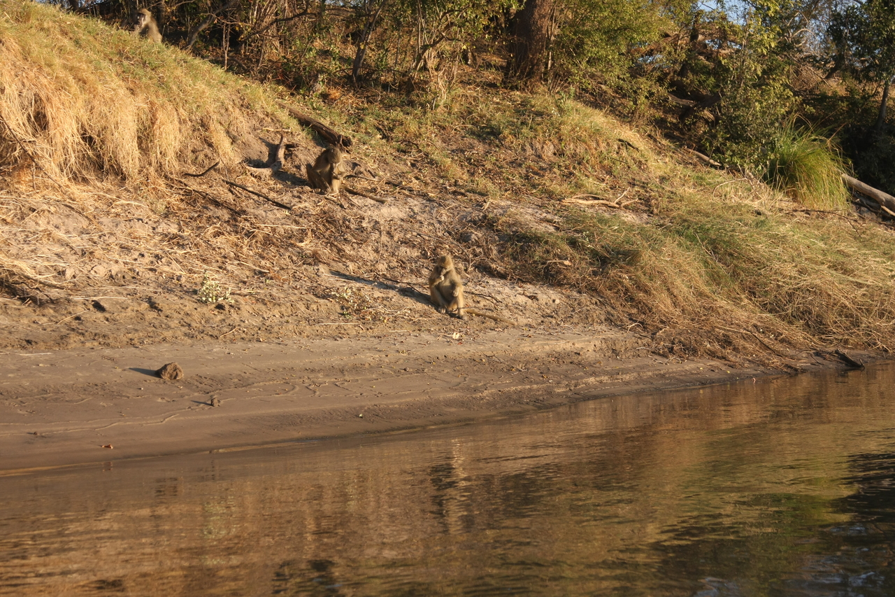 [33769] 2016_07_04_11_19_33_Africa_Canon_EOS_40D_IMG__13286.jpg