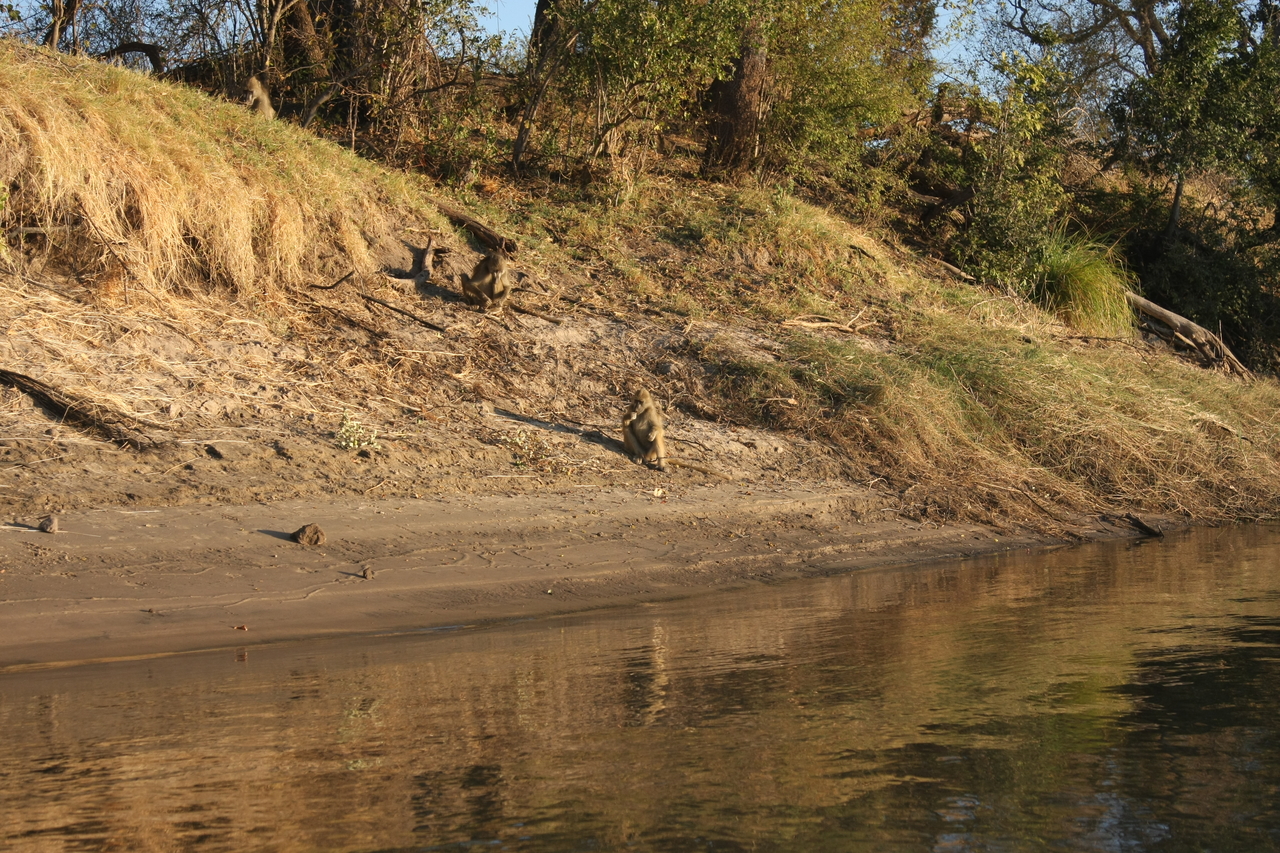 [33770] 2016_07_04_11_19_40_Africa_Canon_EOS_40D_IMG__00205.jpg