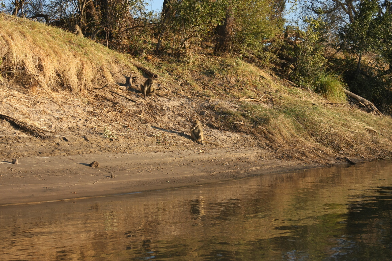 [33777] 2016_07_04_11_19_40_Africa_Canon_EOS_40D_IMG__13288.jpg