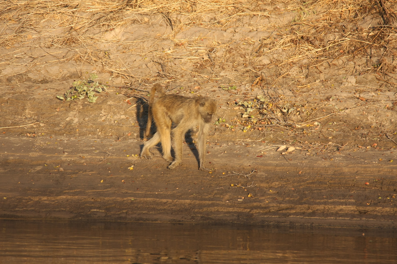 [33847] 2016_07_04_11_22_47_Africa_Canon_EOS_40D_IMG__00234.jpg