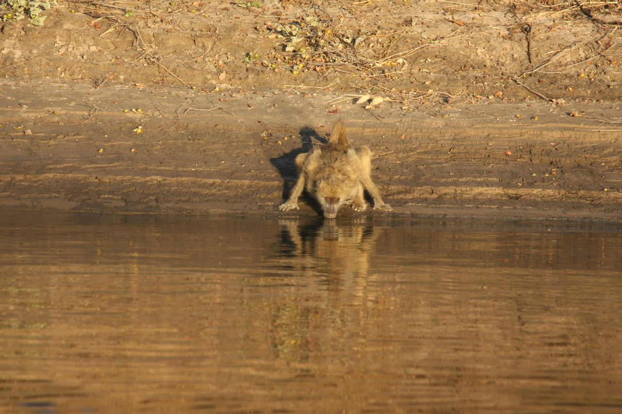 [33858] 2016_07_04_11_22_54_Africa_Canon_EOS_40D_IMG__00238.jpg
