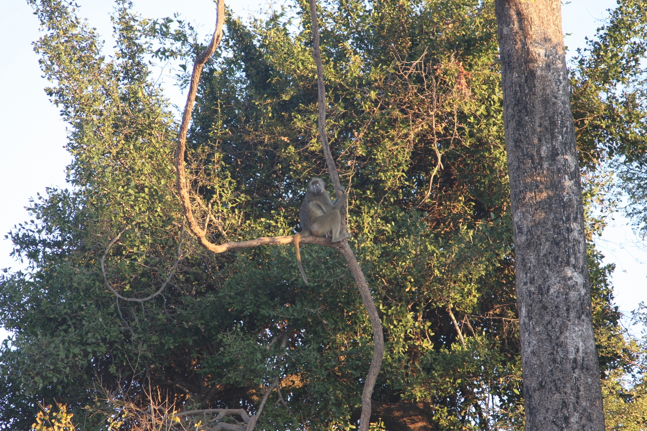 [34044] 2016_07_04_11_28_51_Africa_Canon_EOS_40D_IMG__00306.jpg