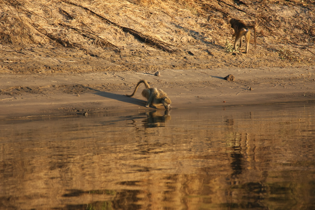 [34057] 2016_07_04_11_30_40_Africa_Canon_EOS_40D_IMG__00311.jpg