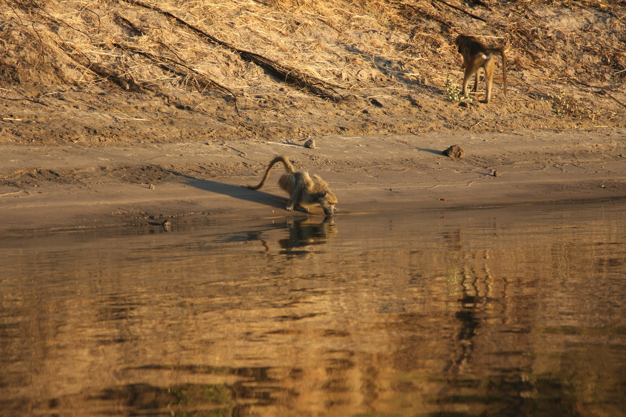 [34059] 2016_07_04_11_30_40_Africa_Canon_EOS_40D_IMG__05945.jpg