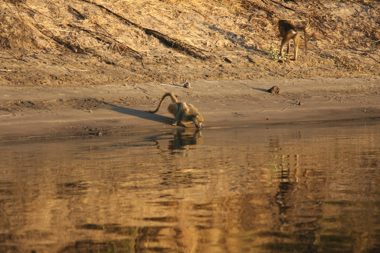 [34061] 2016_07_04_11_30_40_Africa_Canon_EOS_40D_IMG__13391.jpg