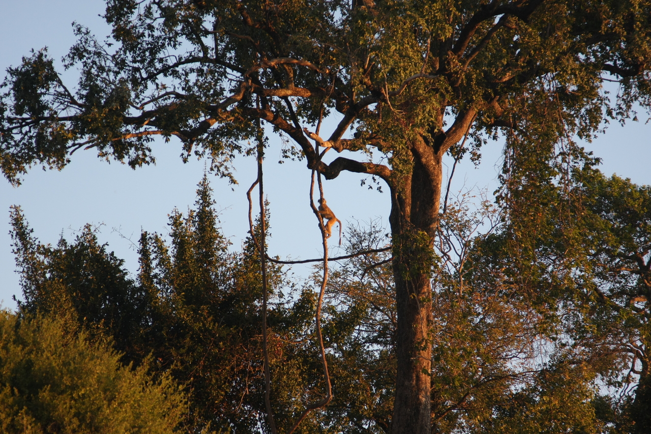 [34075] 2016_07_04_11_32_26_Africa_Canon_EOS_40D_IMG__00316.jpg