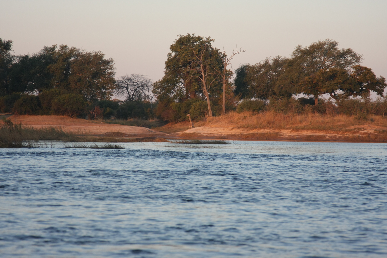 [34123] 2016_07_04_11_38_06_Africa_Canon_EOS_40D_IMG__00333.jpg