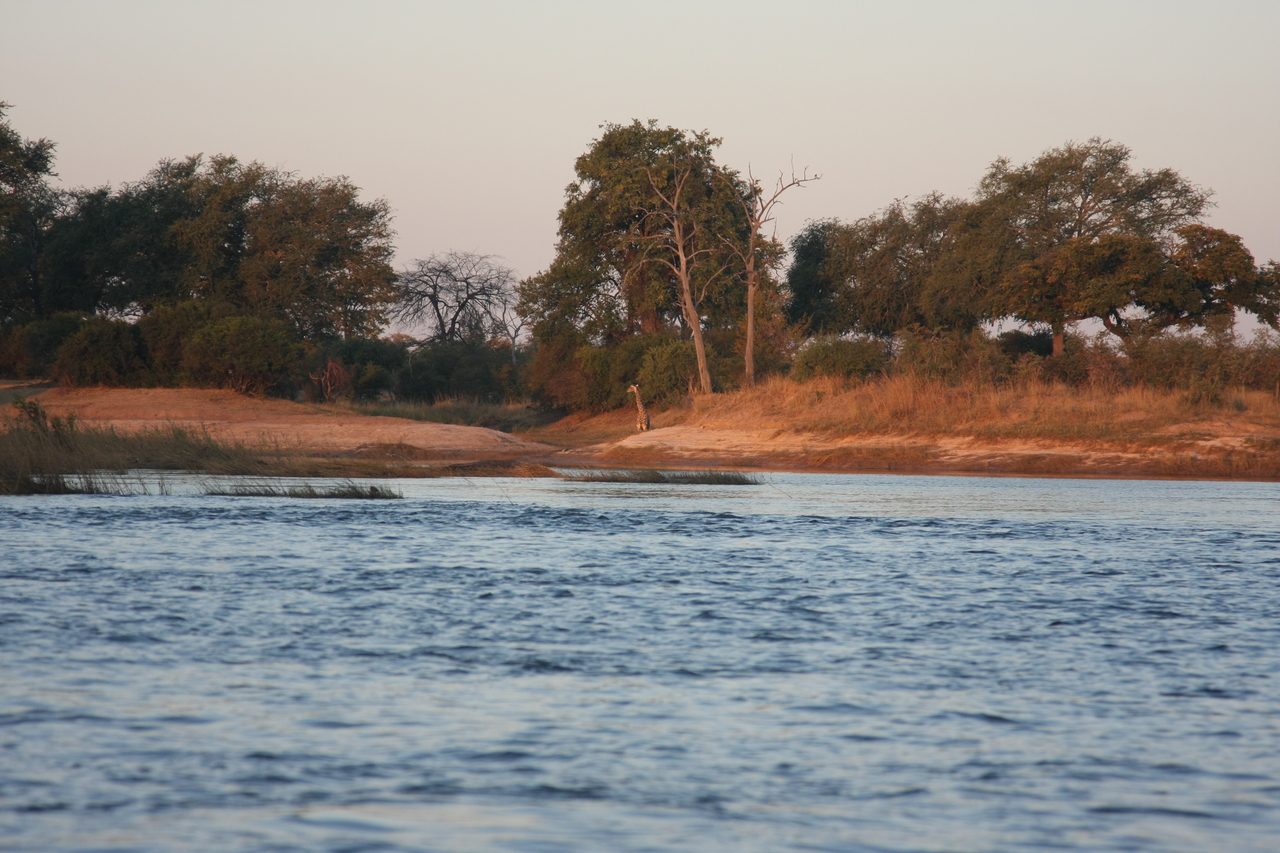 [34128] 2016_07_04_11_38_06_Africa_Canon_EOS_40D_IMG__13414.jpg