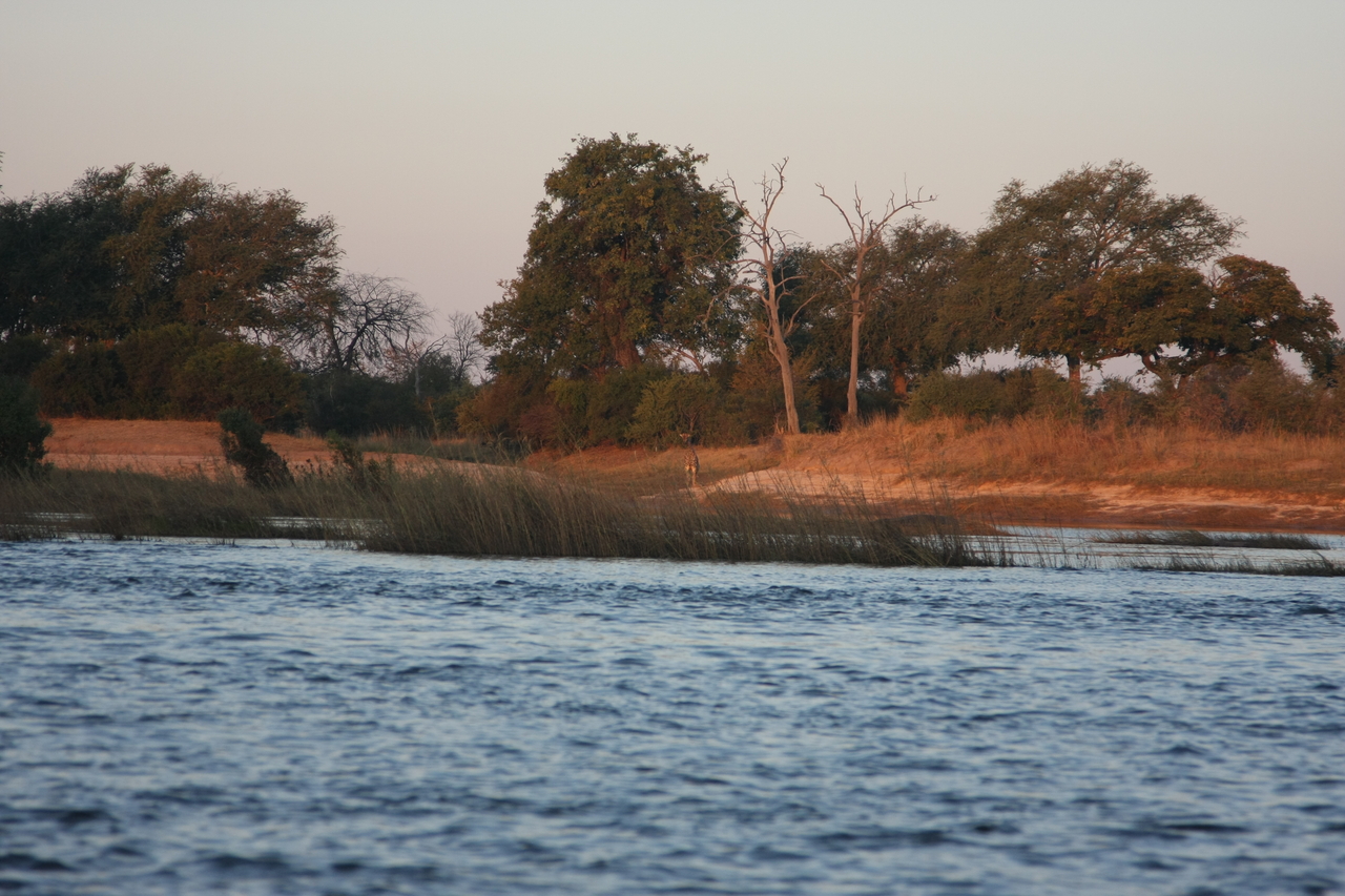 [34131] 2016_07_04_11_38_21_Africa_Canon_EOS_40D_IMG__00337.jpg