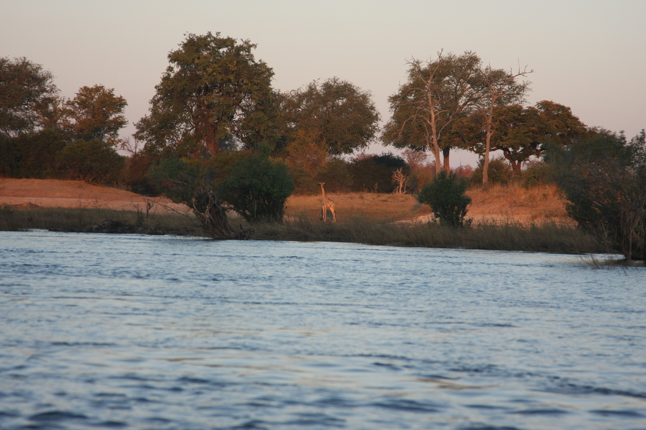 [34142] 2016_07_04_11_39_01_Africa_Canon_EOS_40D_IMG__13420.jpg