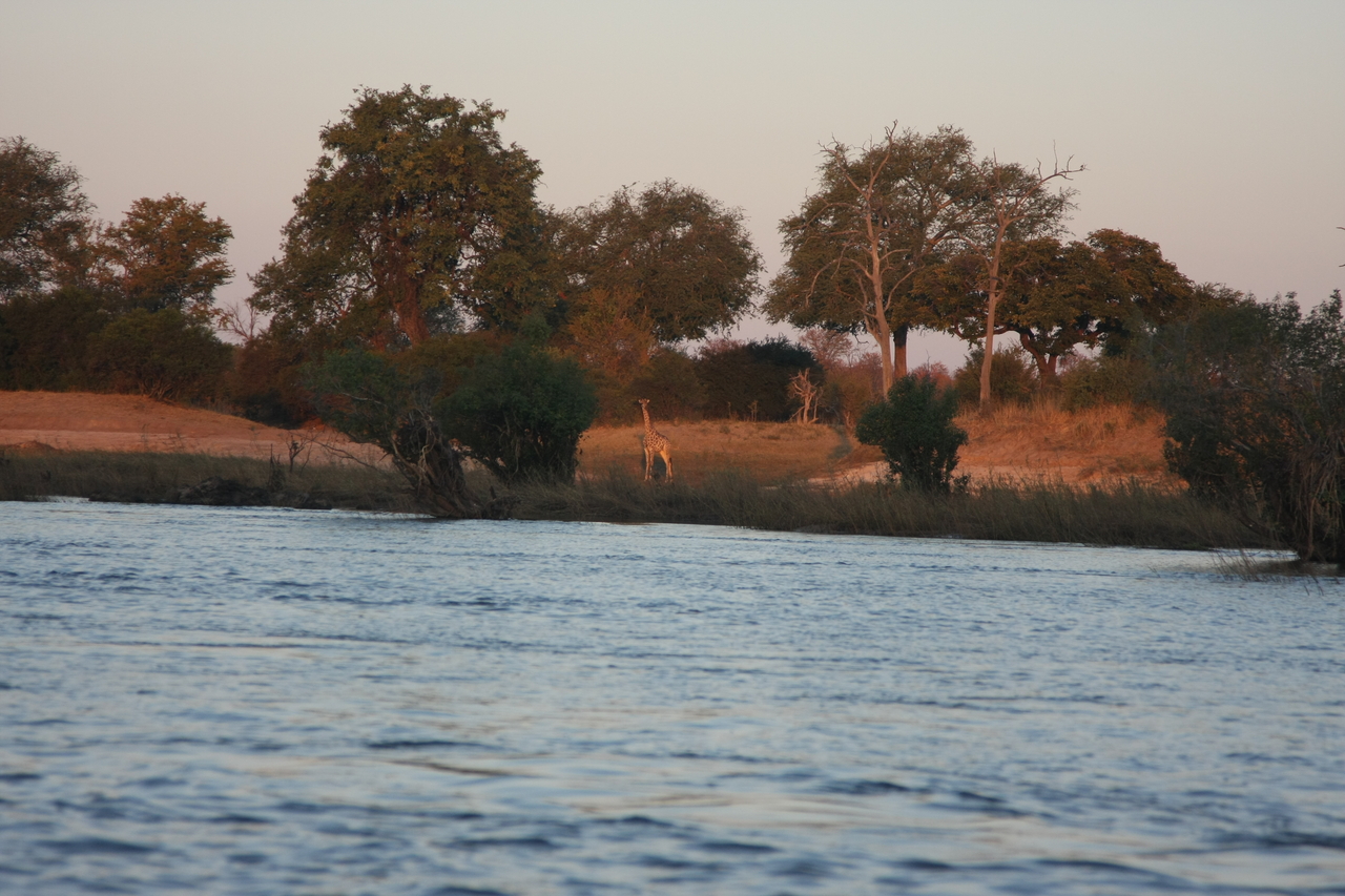 [34143] 2016_07_04_11_39_01_Africa_Canon_EOS_40D_IMG__13421.jpg