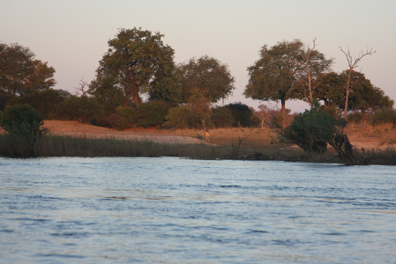 [34151] 2016_07_04_11_39_14_Africa_Canon_EOS_40D_IMG__13423.jpg