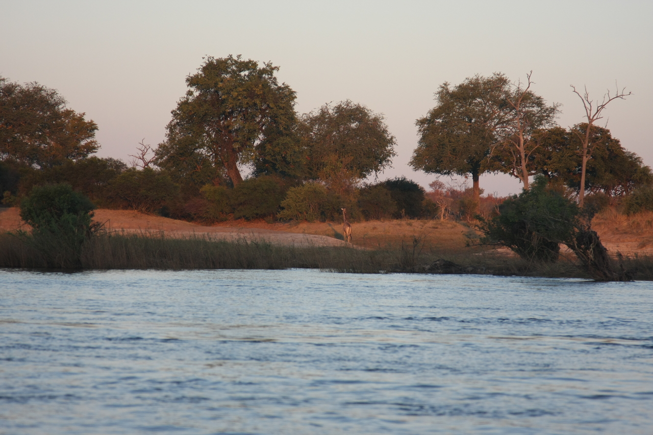 [34153] 2016_07_04_11_39_14_Africa_Canon_EOS_40D_IMG__13425.jpg