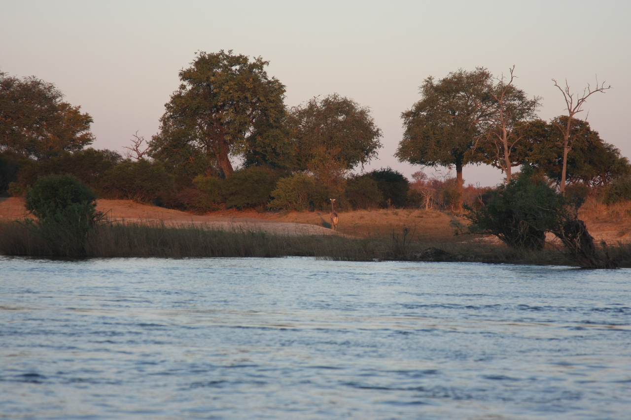 [34155] 2016_07_04_11_39_15_Africa_Canon_EOS_40D_IMG__05979.jpg