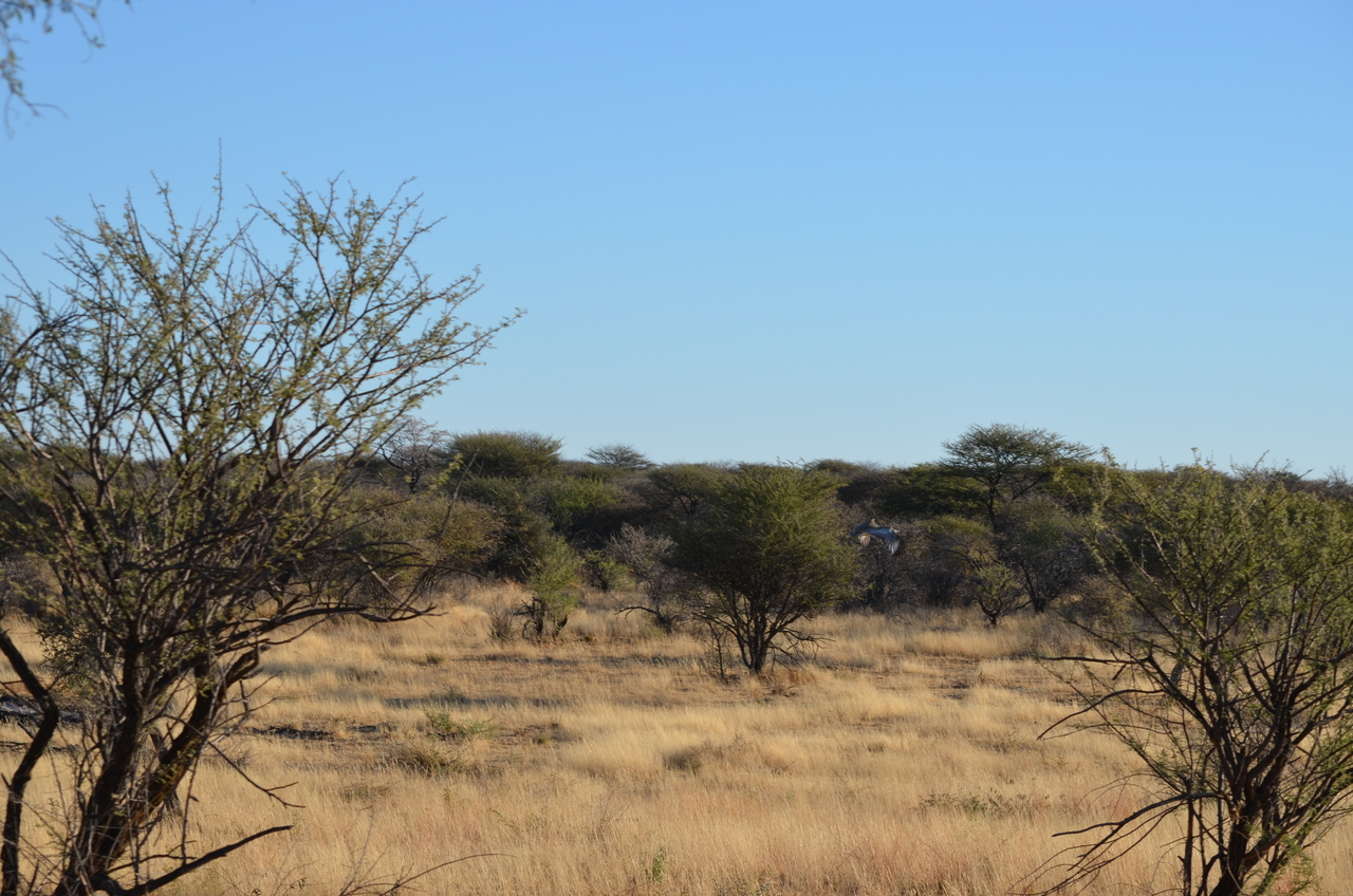 [4477] 2016_06_22_22_38_22_Africa_NIKON_D5100_IMG__04632.jpg