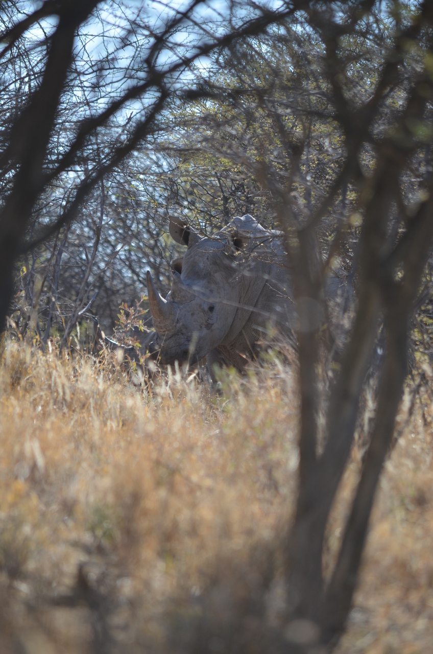 [4485] 2016_06_23_00_28_29_Africa_NIKON_D5100_IMG__04636.jpg