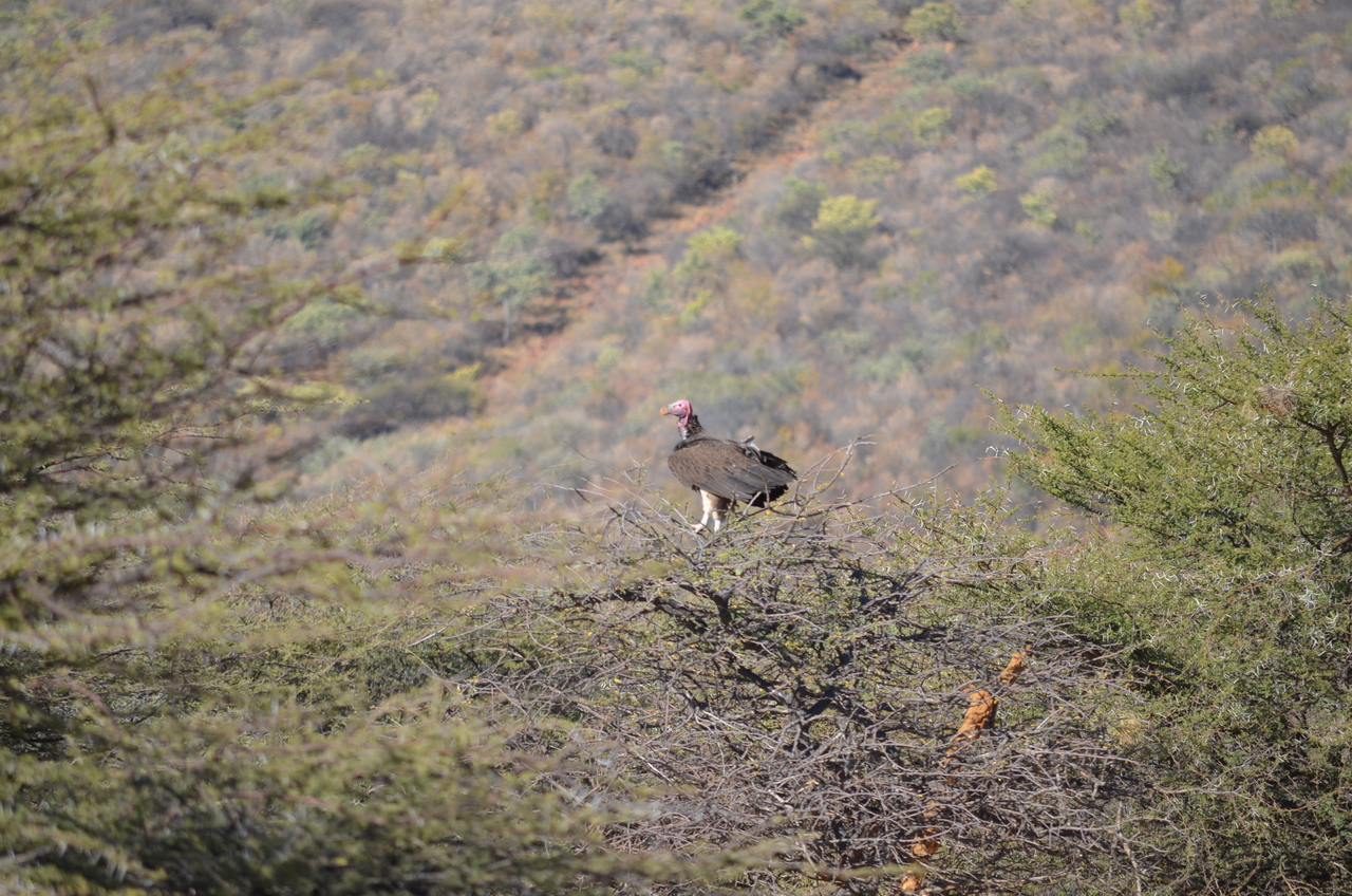 [5043] 2016_06_23_06_09_29_Africa_NIKON_D5100_IMG__04674.jpg