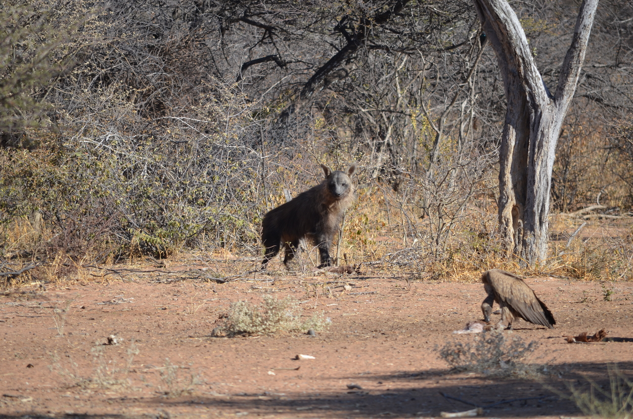 [5051] 2016_06_23_06_14_10_Africa_NIKON_D5100_IMG__04678.jpg