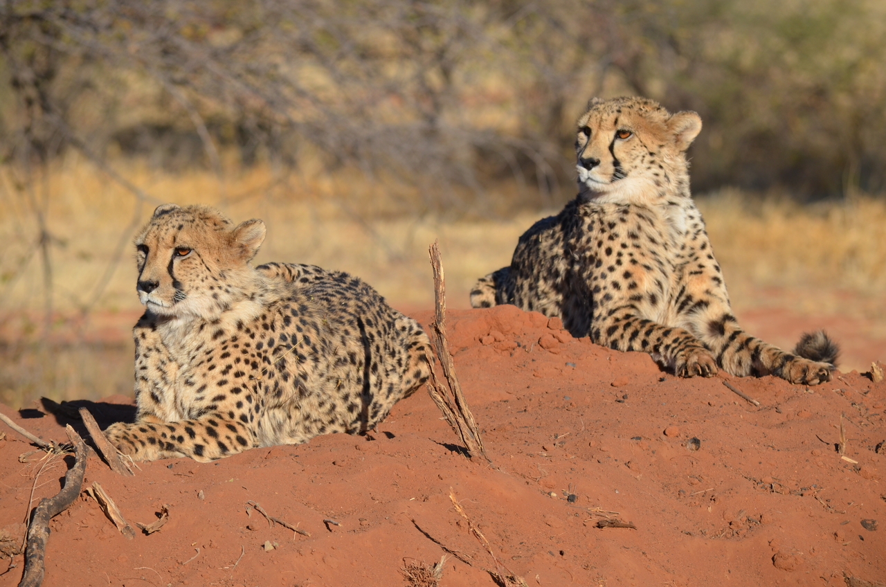 [5135] 2016_06_23_07_06_12_Africa_NIKON_D5100_IMG__04719.jpg