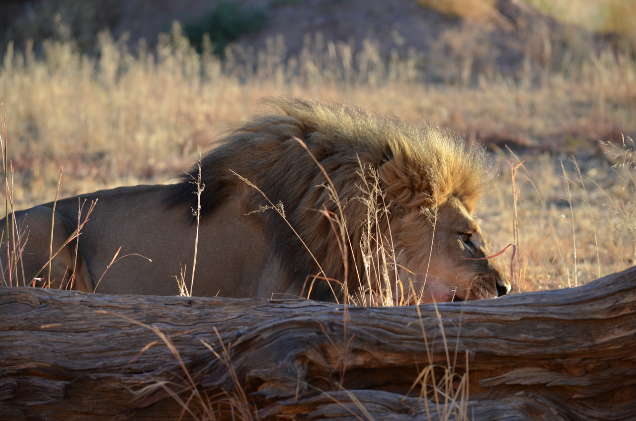 [5166] 2016_06_23_07_54_01_Africa_NIKON_D5100_IMG__00110.jpg