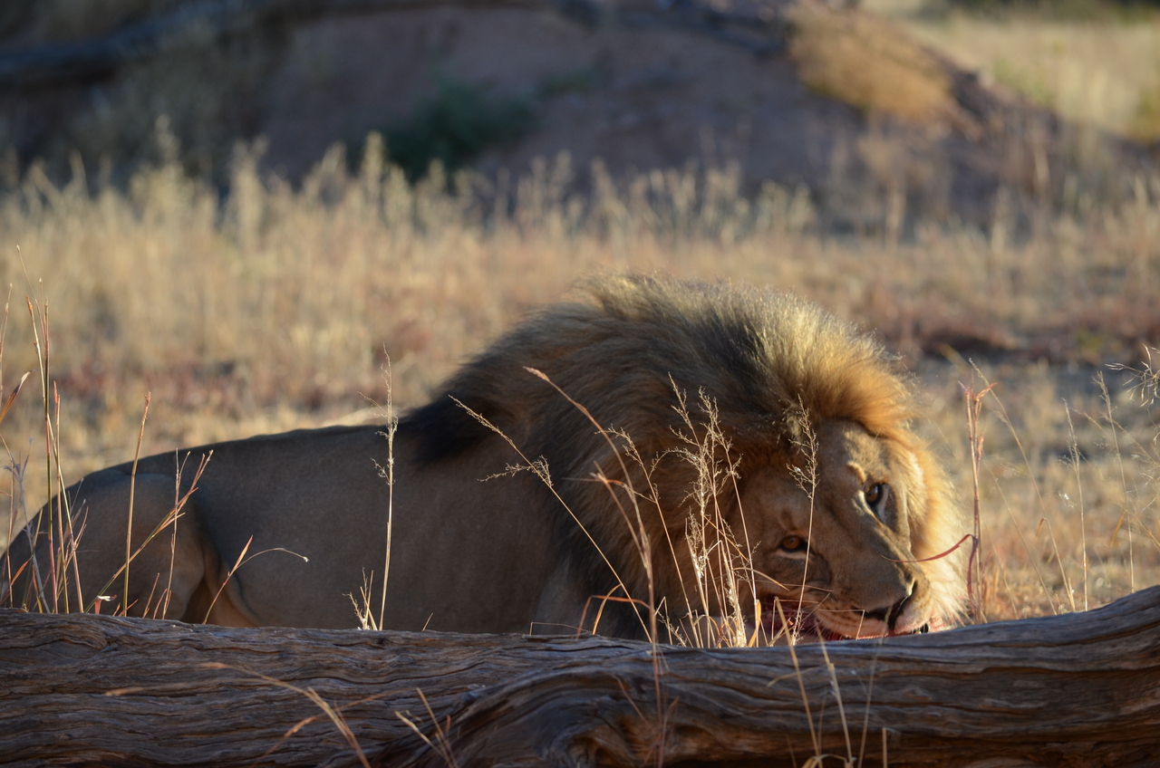[5170] 2016_06_23_07_54_23_Africa_NIKON_D5100_IMG__00112.jpg