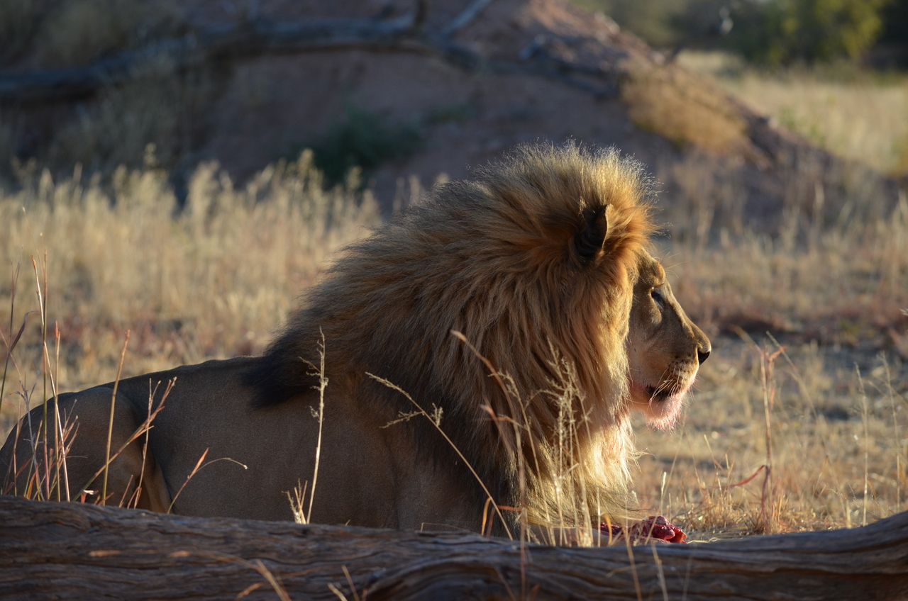 [5174] 2016_06_23_07_55_08_Africa_NIKON_D5100_IMG__00114.jpg