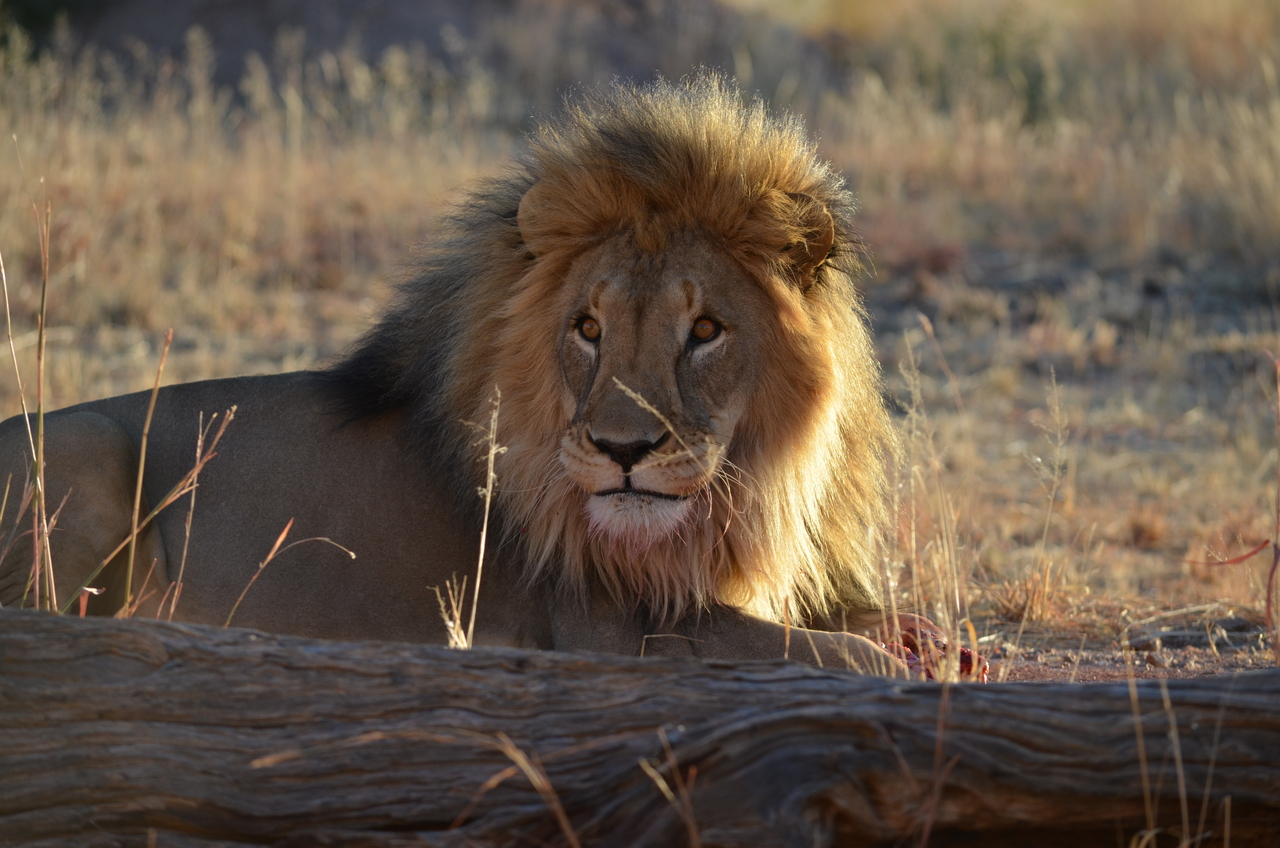 [5180] 2016_06_23_07_57_21_Africa_NIKON_D5100_IMG__00117.jpg