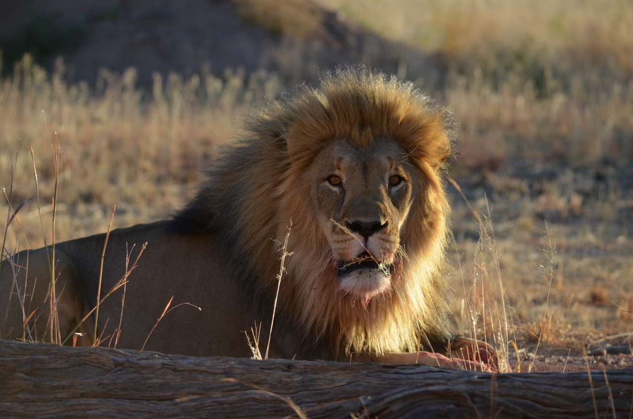 [5186] 2016_06_23_07_57_27_Africa_NIKON_D5100_IMG__00120.jpg