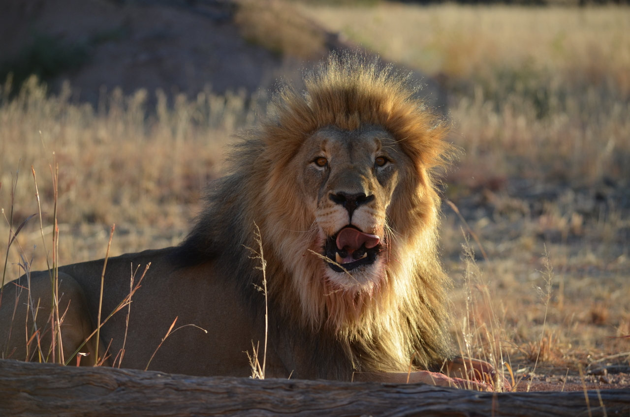 [5188] 2016_06_23_07_57_28_Africa_NIKON_D5100_IMG__00121.jpg