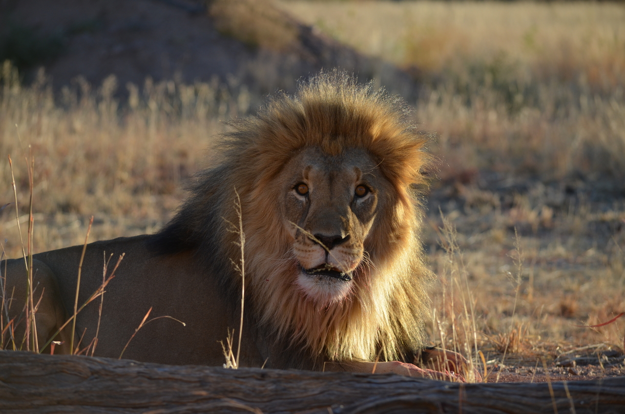 [5193] 2016_06_23_07_57_30_Africa_NIKON_D5100_IMG__04745.jpg