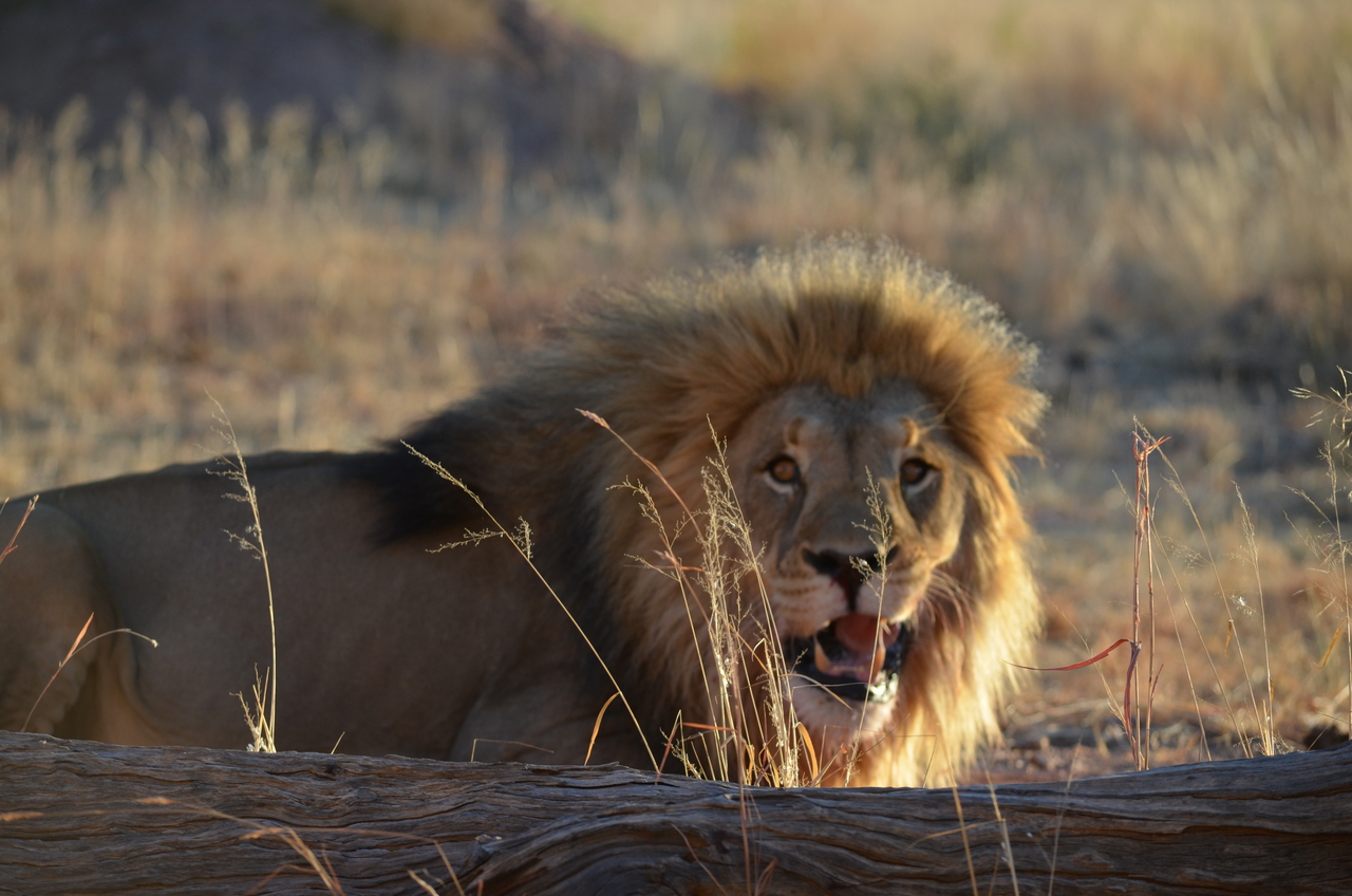 [5195] 2016_06_23_07_58_47_Africa_NIKON_D5100_IMG__04746.jpg