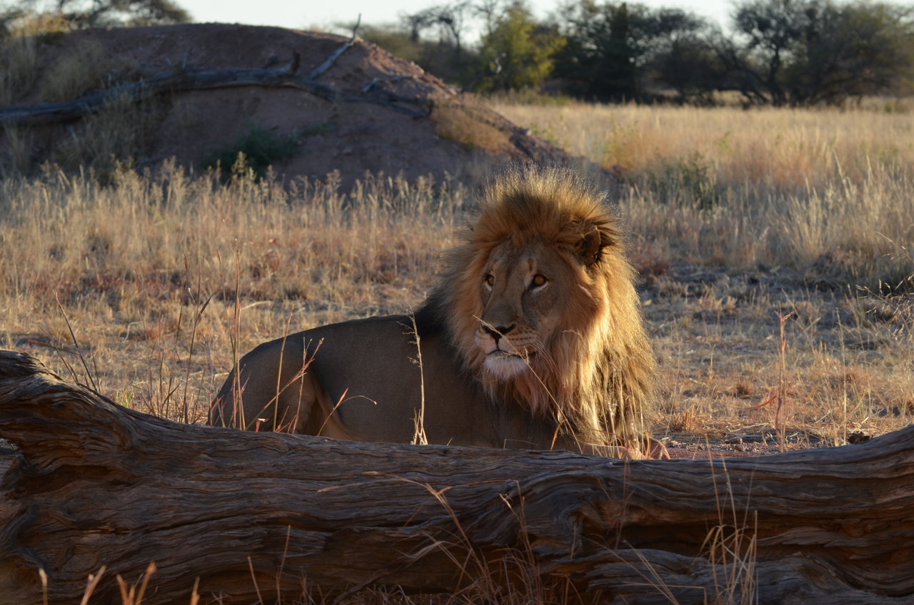 [5203] 2016_06_23_08_01_04_Africa_NIKON_D5100_IMG__04750.jpg