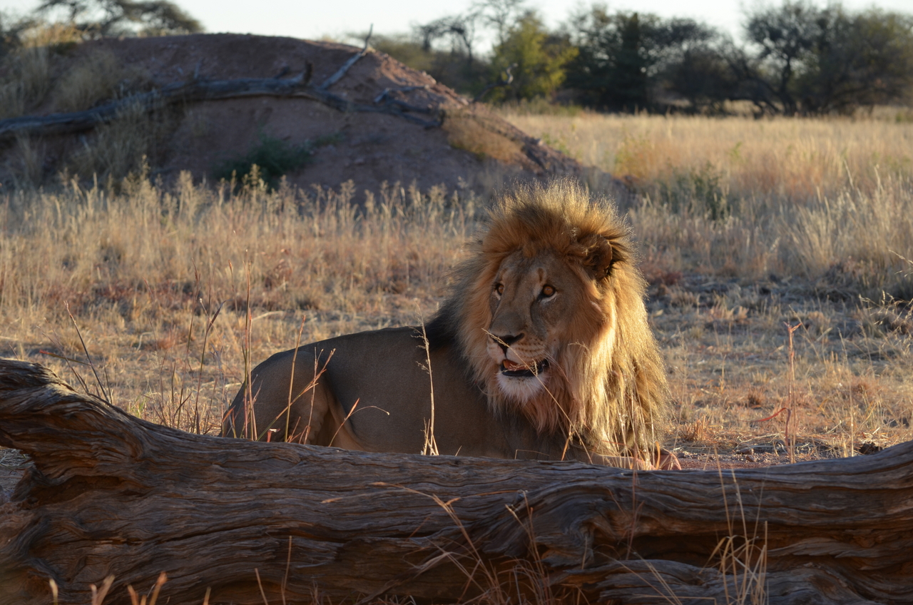 [5204] 2016_06_23_08_01_05_Africa_NIKON_D5100_IMG__00129.jpg