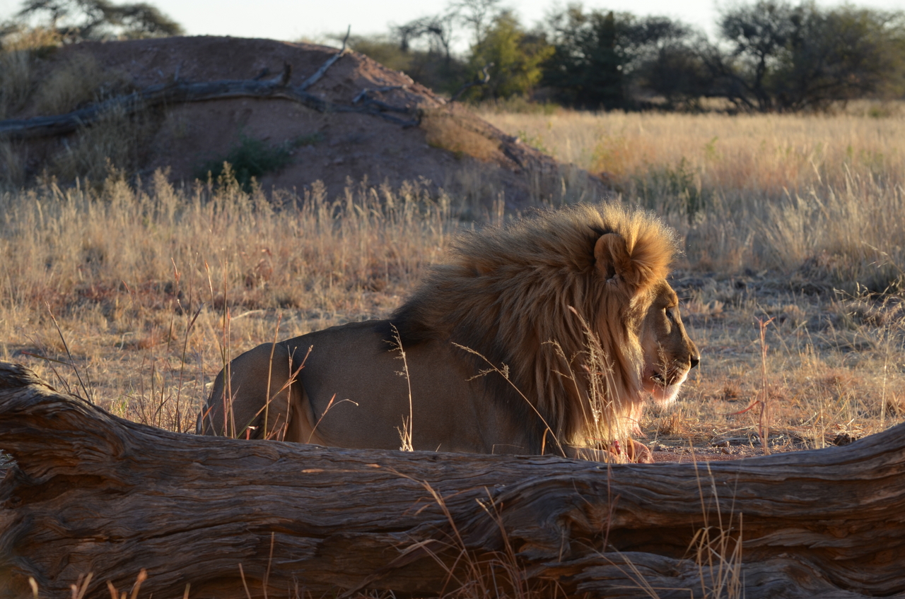 [5213] 2016_06_23_08_02_01_Africa_NIKON_D5100_IMG__04755.jpg