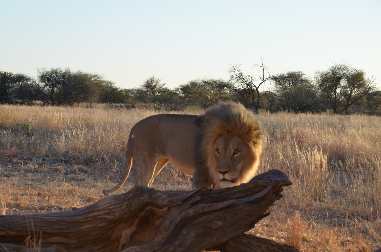 [5217] 2016_06_23_08_02_19_Africa_NIKON_D5100_IMG__04757.jpg