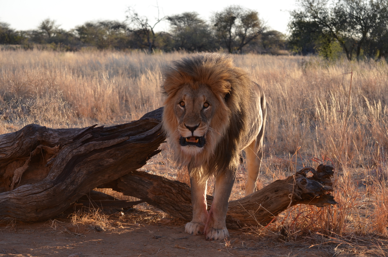 [5219] 2016_06_23_08_02_33_Africa_NIKON_D5100_IMG__04758.jpg