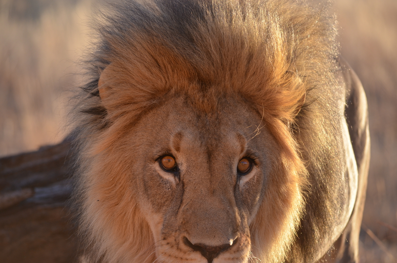 [5221] 2016_06_23_08_02_45_Africa_NIKON_D5100_IMG__04759.jpg