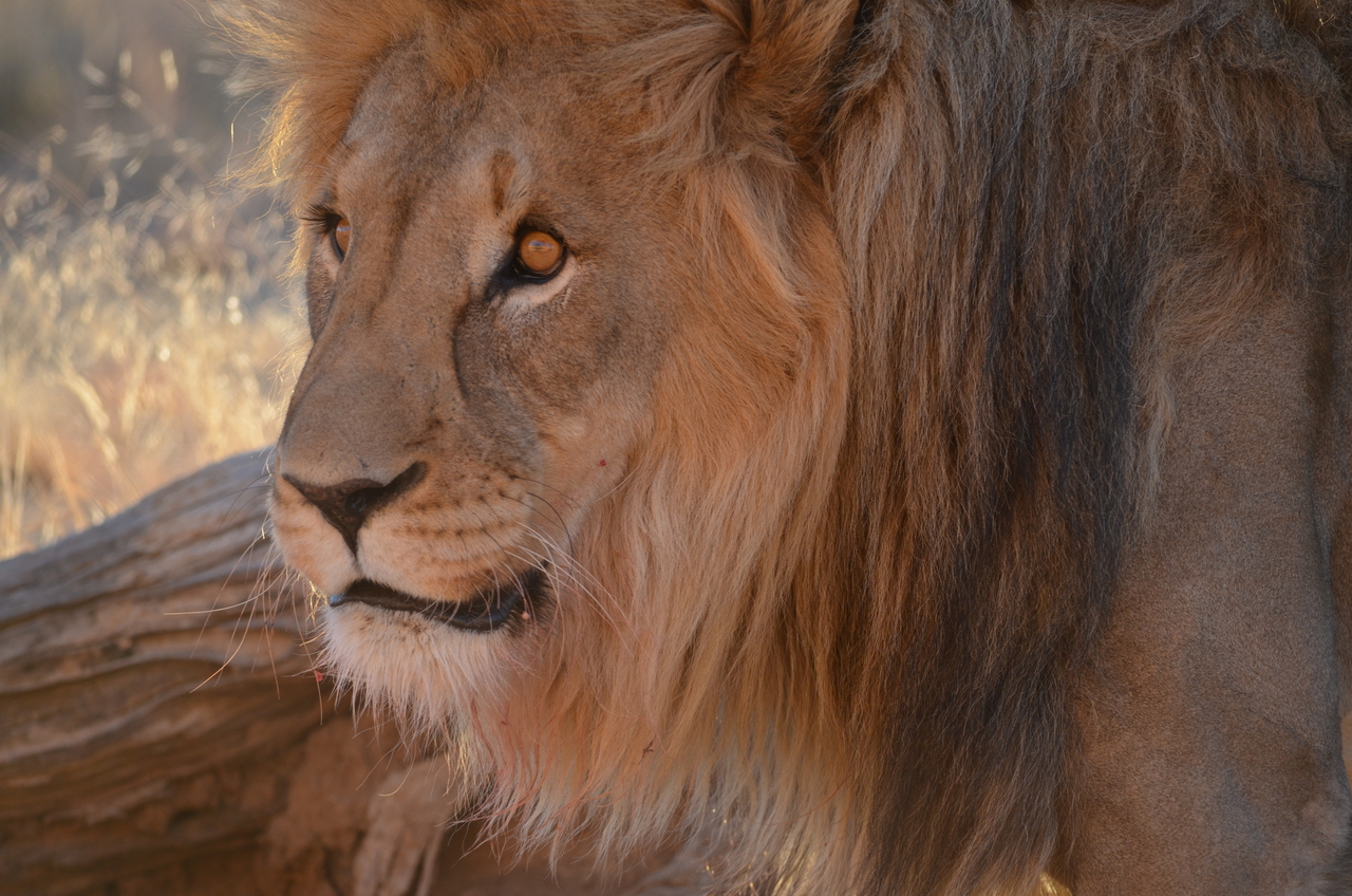 [5228] 2016_06_23_08_03_07_Africa_NIKON_D5100_IMG__00141.jpg