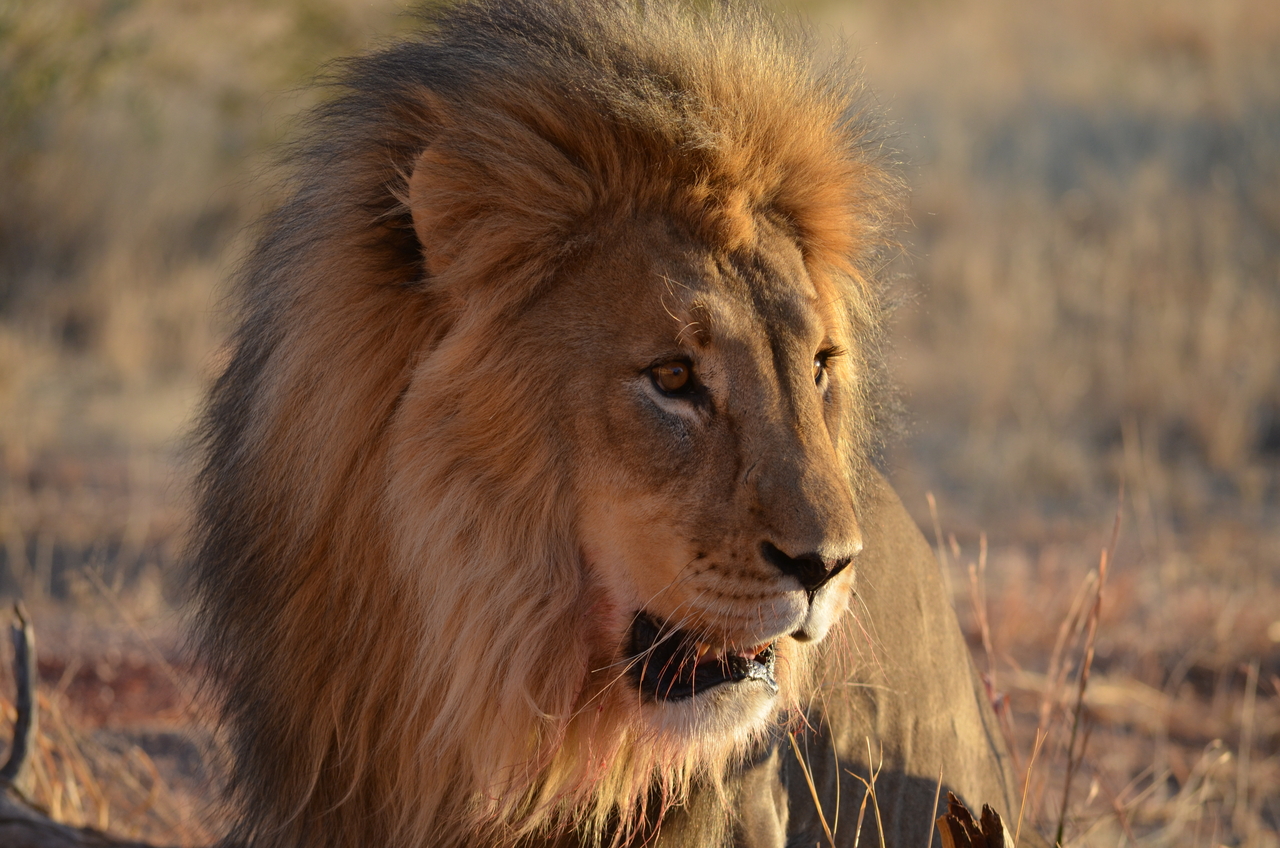 [5232] 2016_06_23_08_04_27_Africa_NIKON_D5100_IMG__00143.jpg