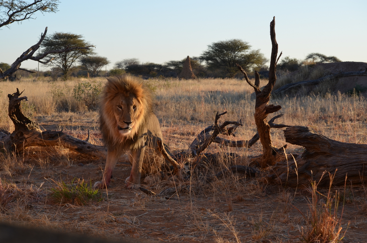 [5243] 2016_06_23_08_05_08_Africa_NIKON_D5100_IMG__04770.jpg