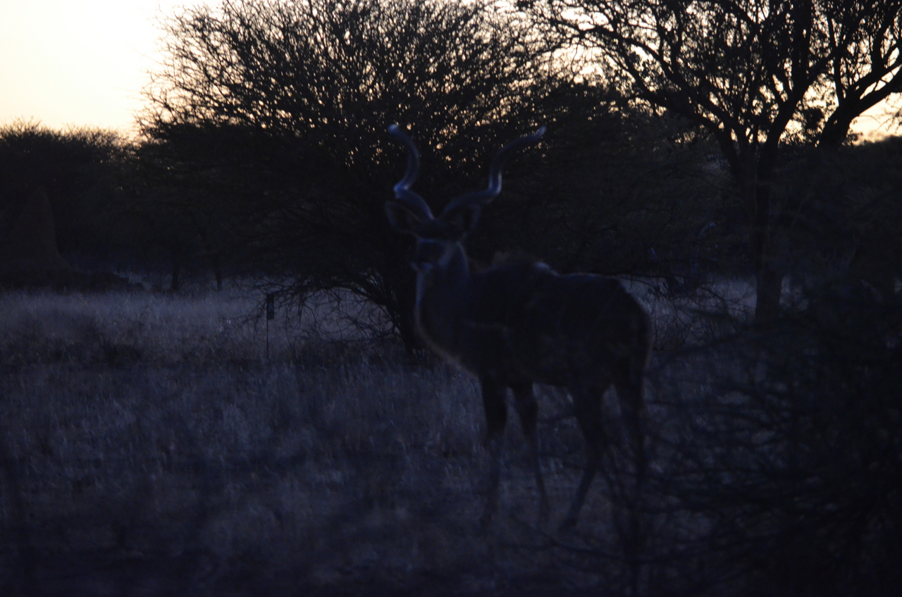 [5269] 2016_06_23_08_54_24_Africa_NIKON_D5100_IMG__04783.jpg