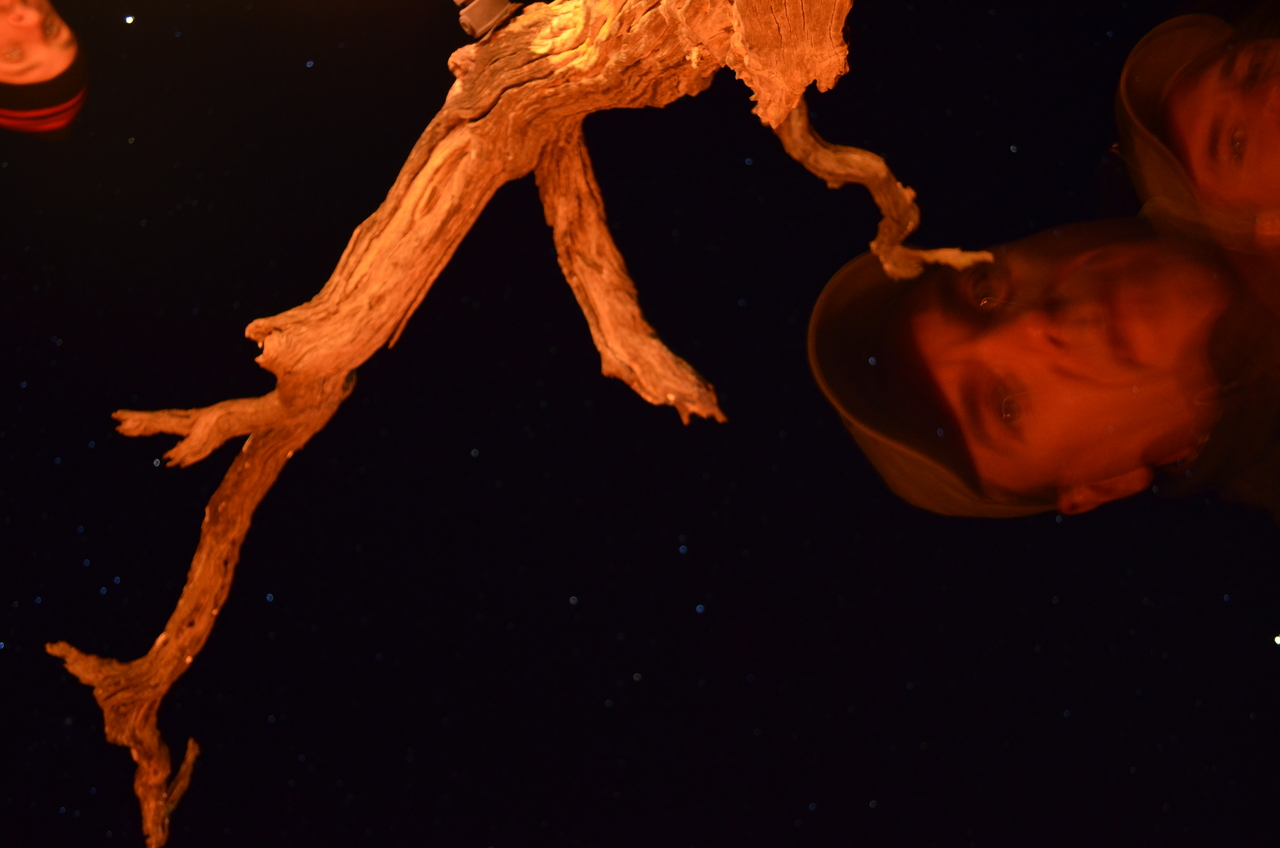 [5360] 2016_06_23_09_34_03_Africa_NIKON_D5100_IMG__00167.jpg