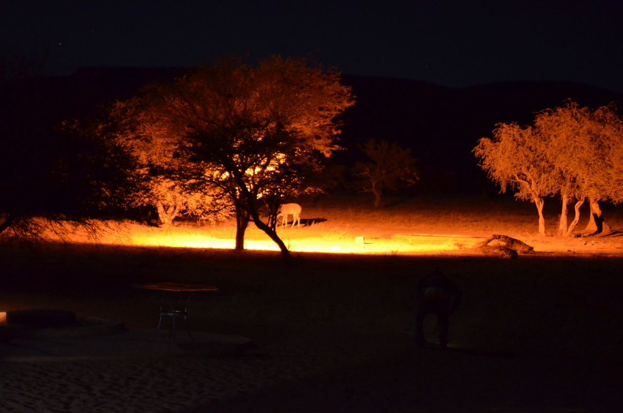 [9016] 2016_06_23_14_30_26_Africa_NIKON_D5100_IMG__00169.jpg