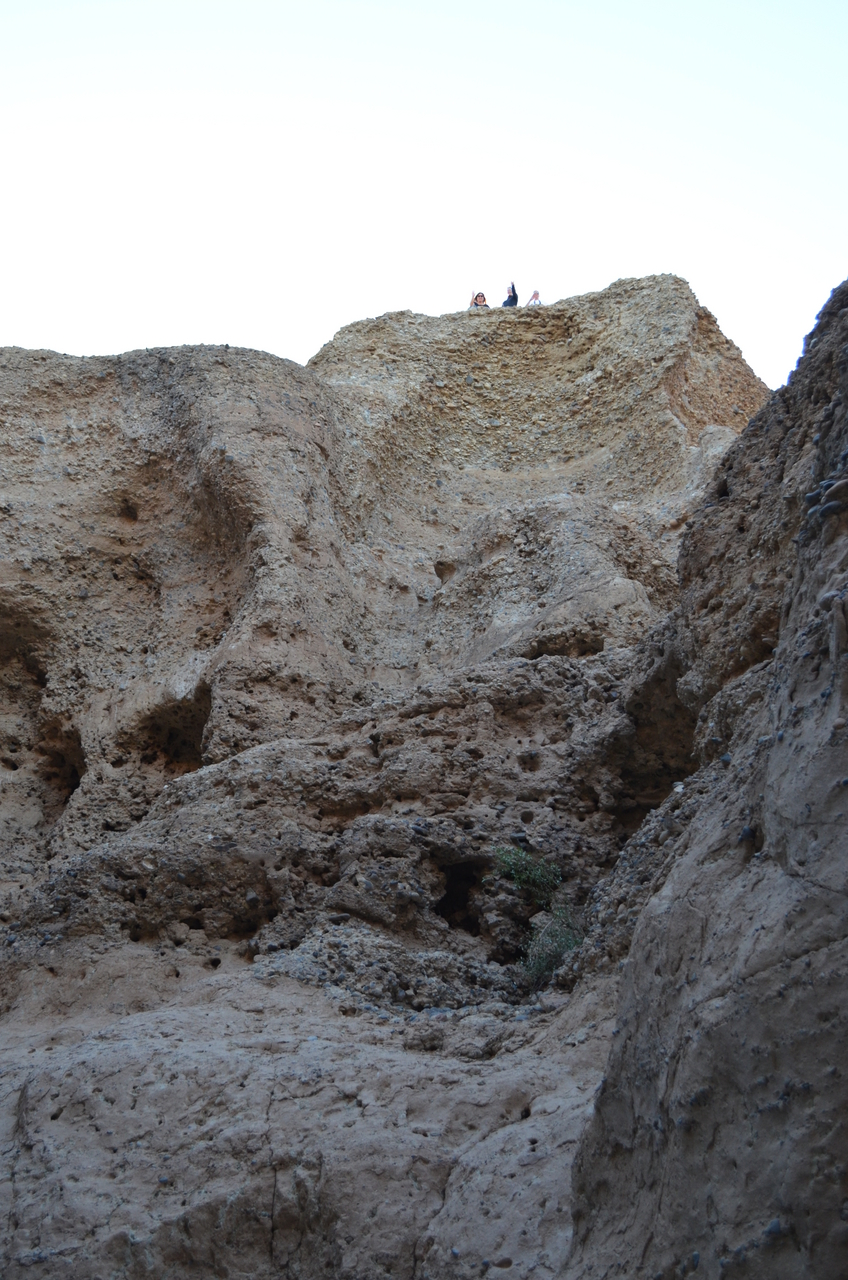 [13754] 2016_06_24_08_03_15_Africa_NIKON_D5100_IMG__04806.jpg